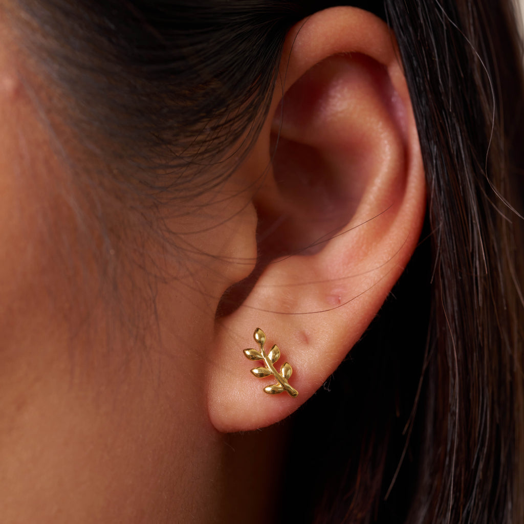 9 Carat Gold Leaf Stud Earrings