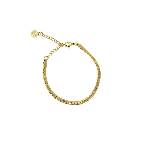 Gold Flat Snake Chain Bracelet | Anartxy
