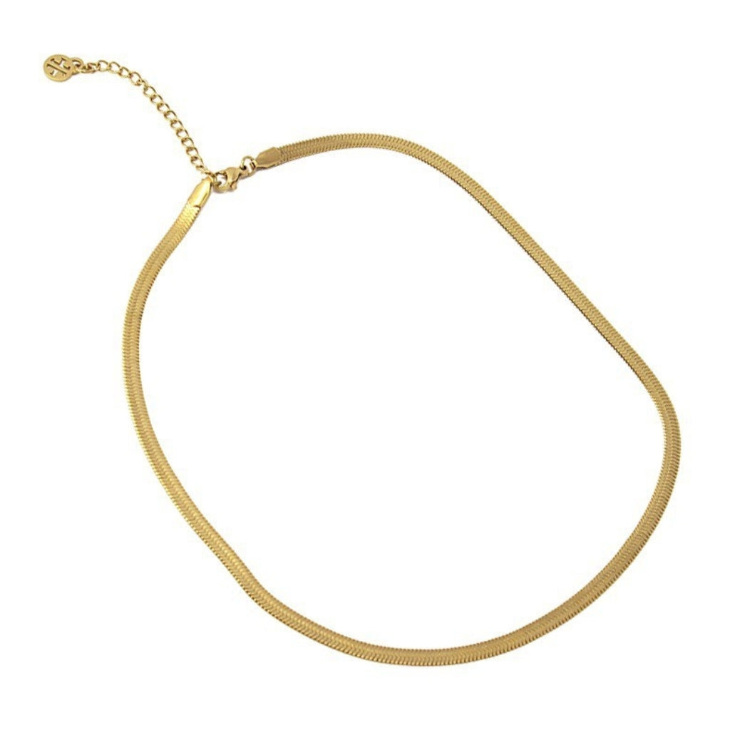 Gold Herringbone Chain Necklace | Anartxy