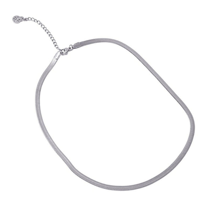 Silver Herringbone Chain Necklace | Anartxy