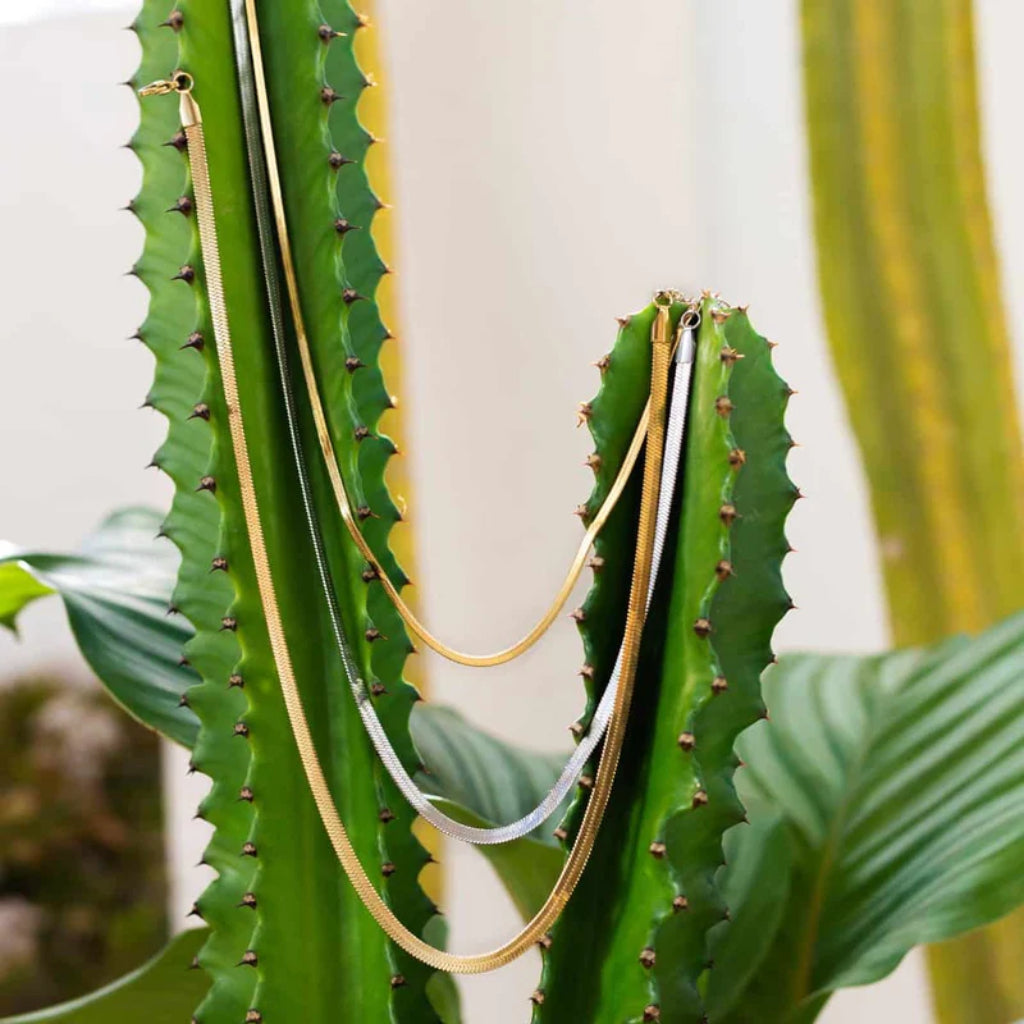 Silver Herringbone Chain Necklace | Anartxy