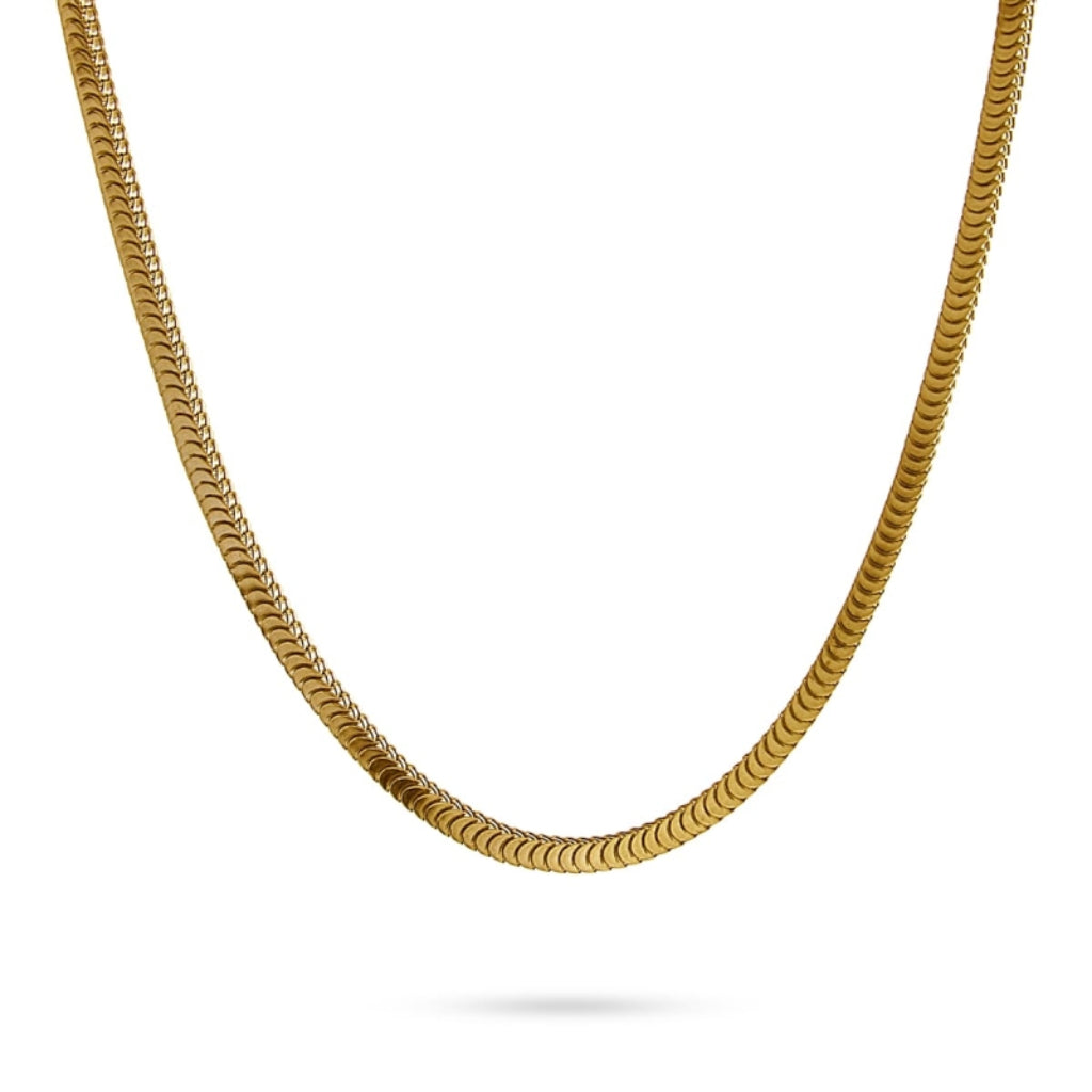 Gold Chunky Snake Chain Necklace | Anartxy