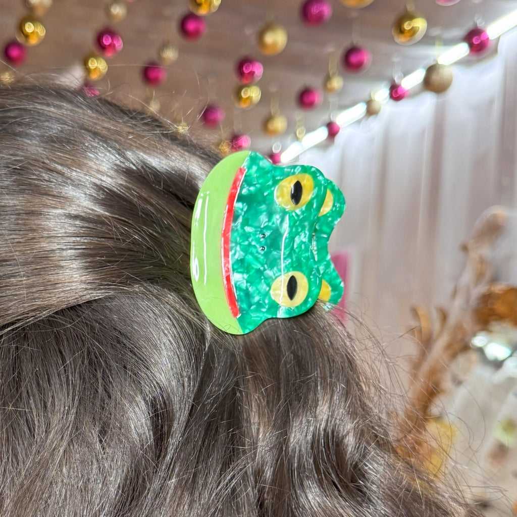 Hand-Painted Claw Hair Clip | Frog Face | Solar Eclipse