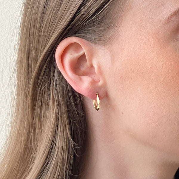 Rioms 9 Carat Gold Faceted Hoop Earrings