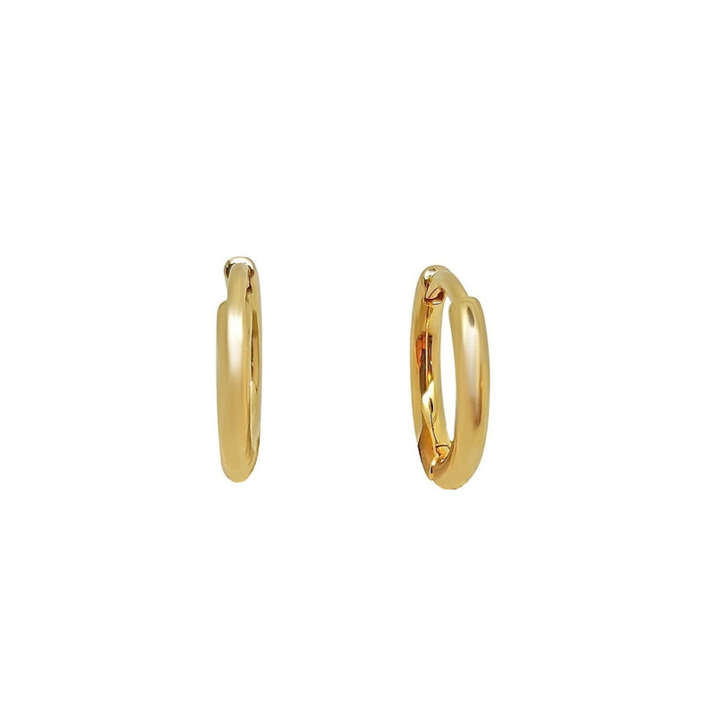 Besse Delicate Gold Hinged Huggie Earrings